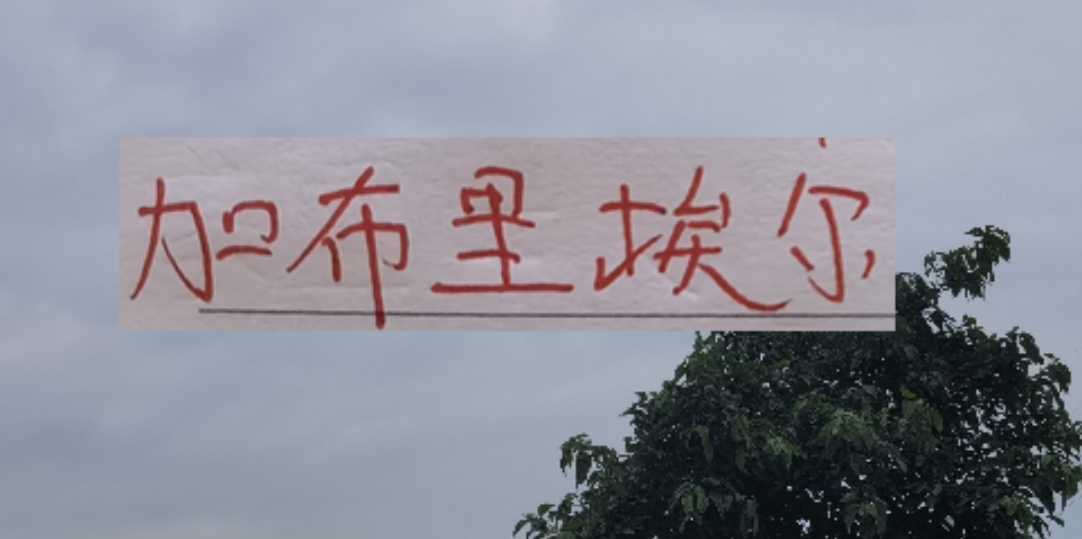 九游下载中心-新赛季！海港 申花 北京国安的边锋都是又黑又快的外援